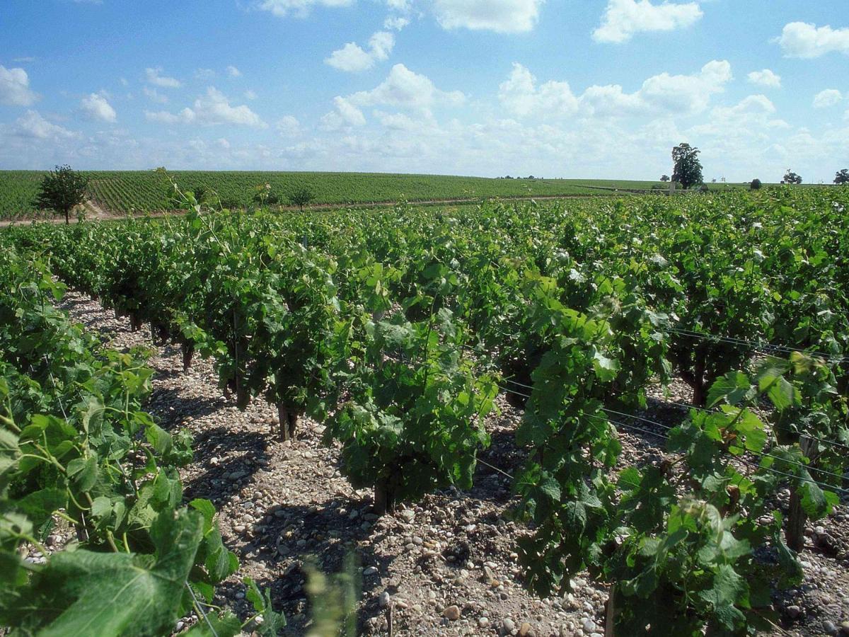 Ibis Bordeaux Saint Emilion Hotel Luaran gambar